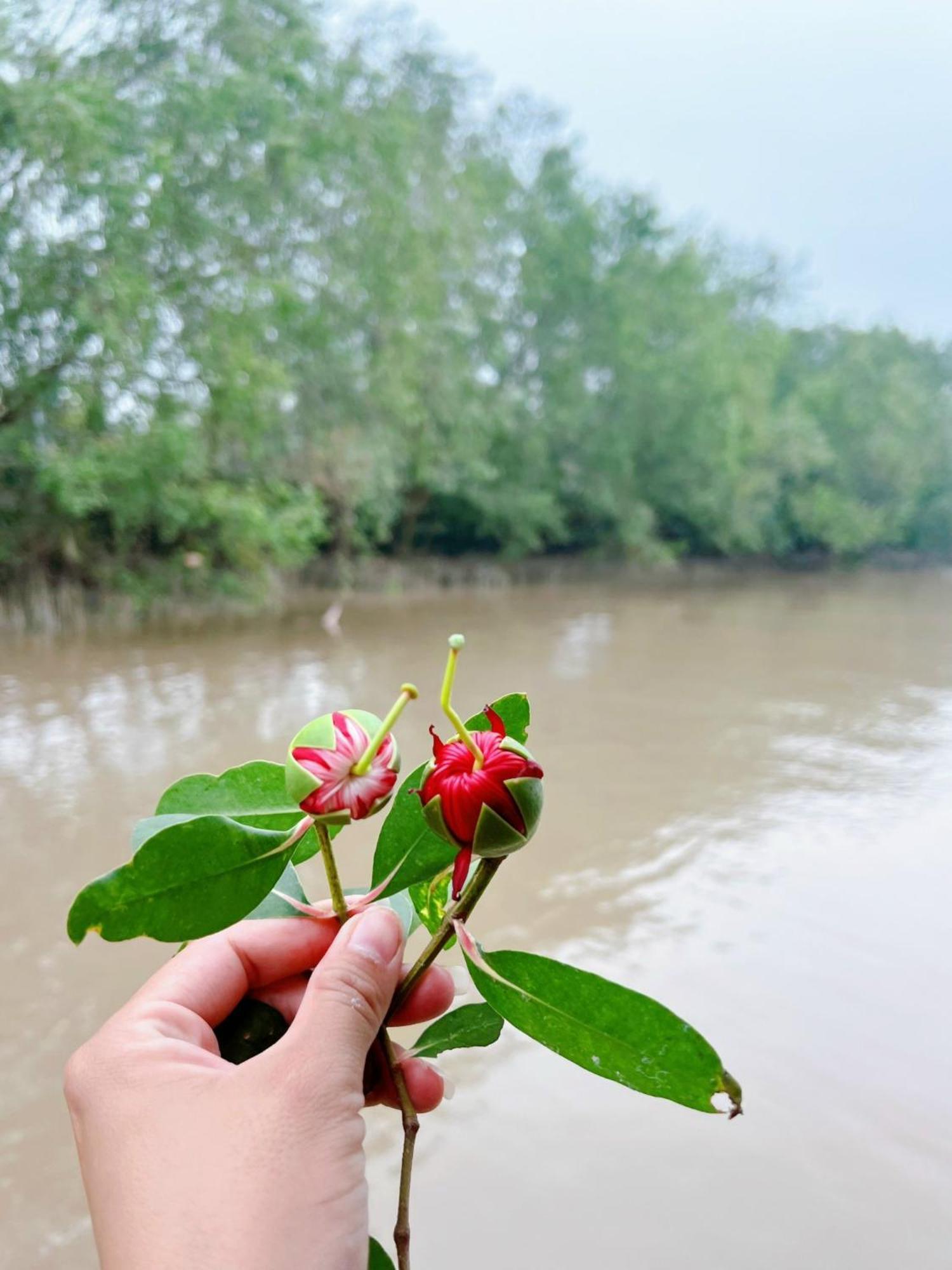 Hide Away Bungalows In Ben Tre City Ngoại thất bức ảnh