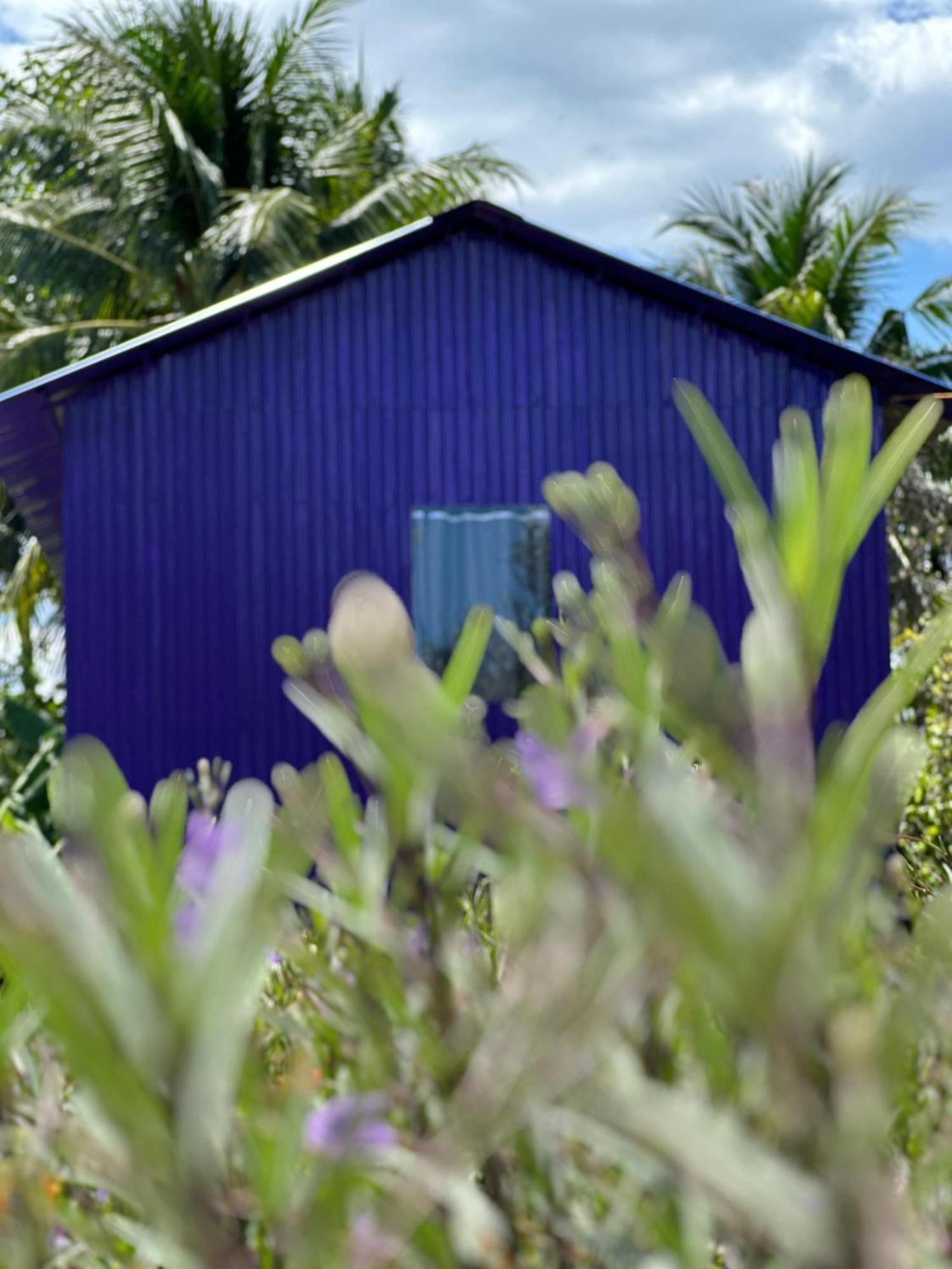 Hide Away Bungalows In Ben Tre City Ngoại thất bức ảnh