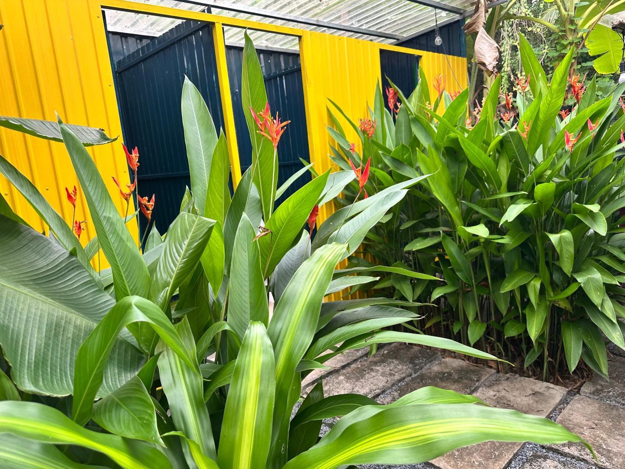 Hide Away Bungalows In Ben Tre City Ngoại thất bức ảnh
