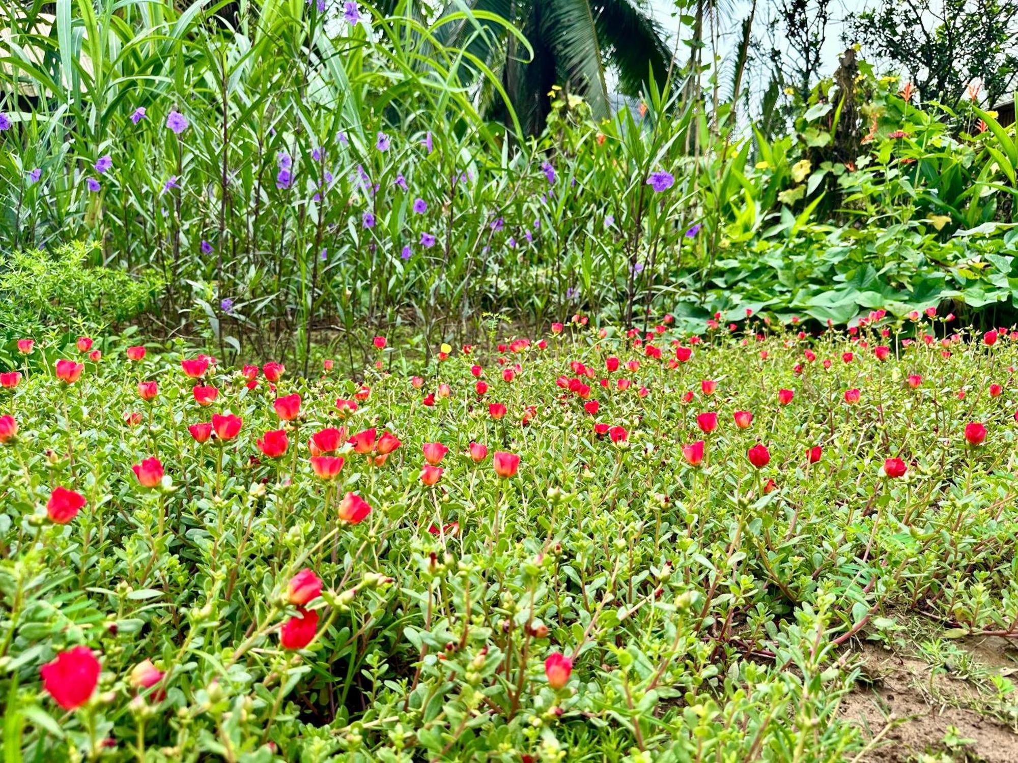 Hide Away Bungalows In Ben Tre City Ngoại thất bức ảnh