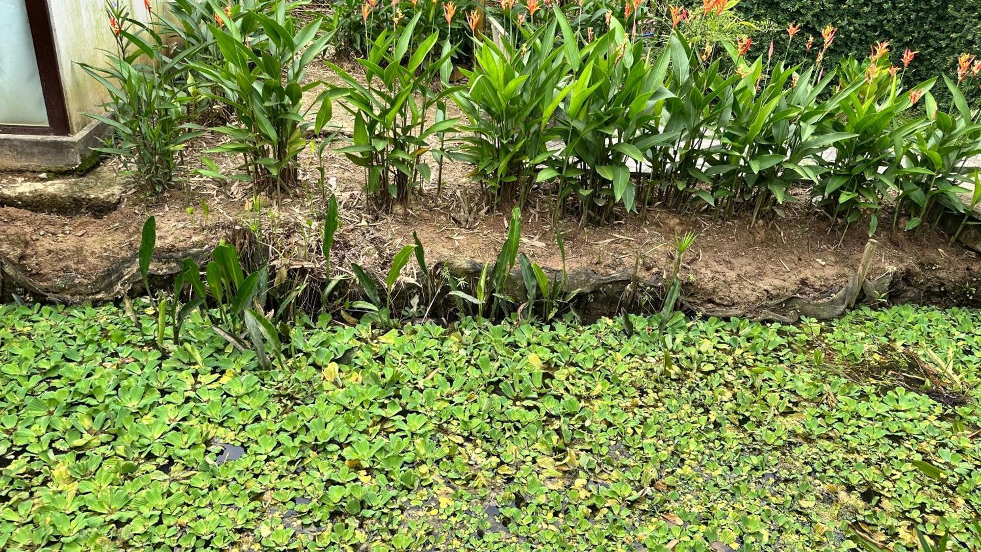 Hide Away Bungalows In Ben Tre City Ngoại thất bức ảnh